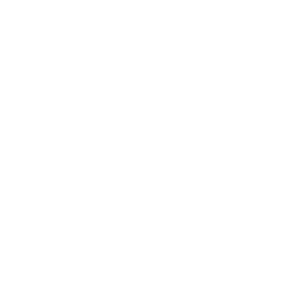 Norton